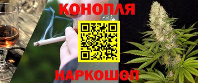 apvp Тулун