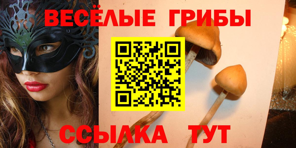 Алейск  Галлюциногенные грибы мухоморы  Вход с VPN 